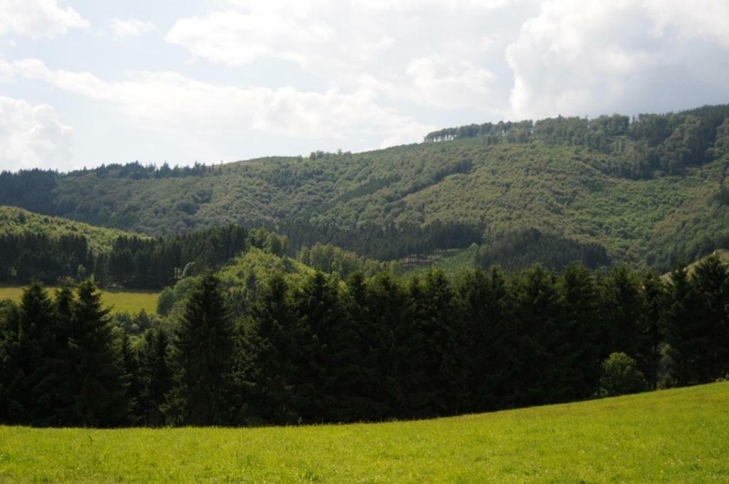 Duempelhof Ferienwohnungen Olsberg Eksteriør bilde